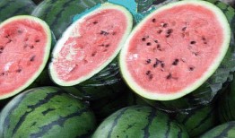 梅州网红吃瓜事件,一场网络舆论的风暴与反思